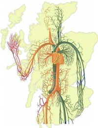 Body-Scotland