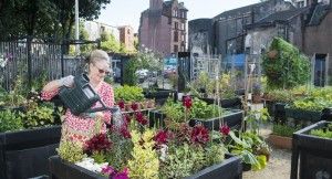 Temporary community gardens are a possibility  in  'Stalled Spaces'
