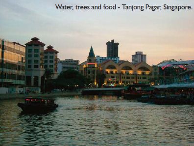 Water, trees and food - Tanjong Pagar, Singapore