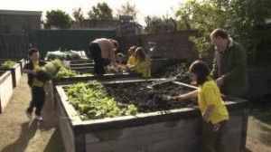 Community gardening in one of Glasgow's stalled spaces